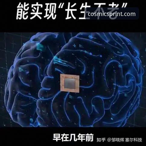星空体育平台安全吗？传统信任vs创新保障：一个深度用户的全面对比